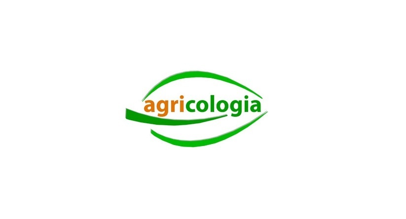 tienda online huertos ecológicos hortalizas CAE Benidoleig Xalò