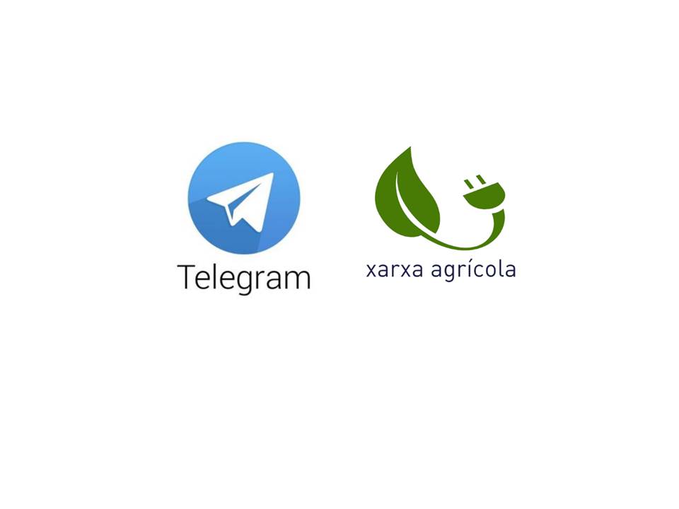 La Xarxa Agrícola abre un canal de Telegram, una nueva ventana a disposición del sector agrario de la Marina Alta con el fin de difundir acontecimientos, publicaciones y cuestiones relacionadas con la agricultura comarcal.