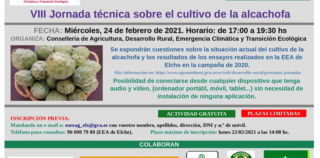 Jornada técnica sobre el cultivo de la alcachofa