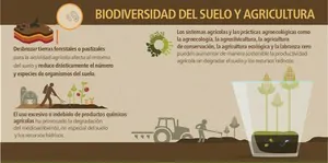 Fertilidad del suelo y biodiversidad